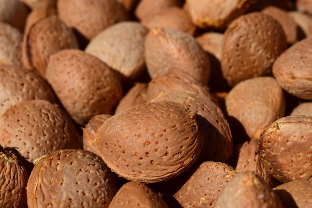 Whole almonds in shell